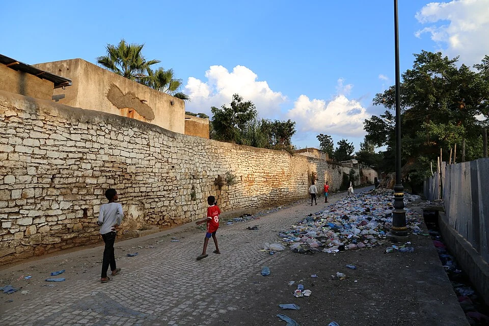 Harar Jugol: street-side walls near Buda Gate.