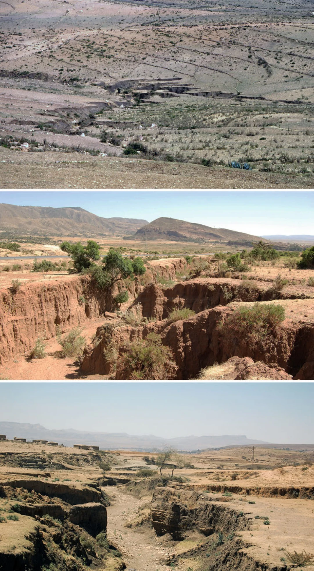 Landscapes and Landforms of Ethiopia — illustration 1, PDF page 195