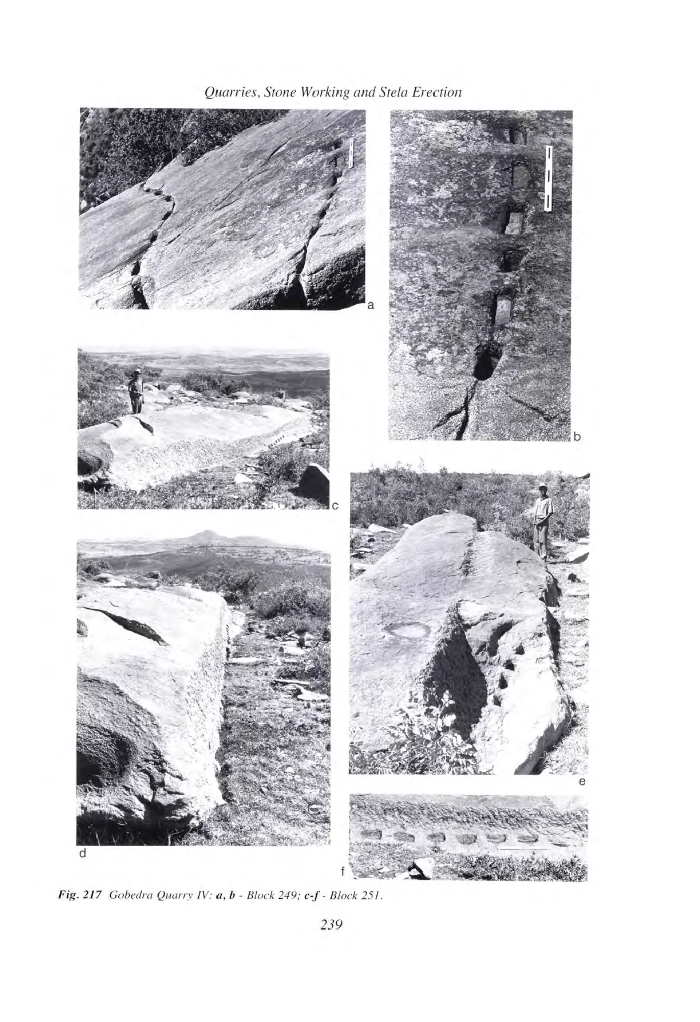 Archaeology at Aksum, Ethiopia, 1993-7, Volume I — illustrated page 258