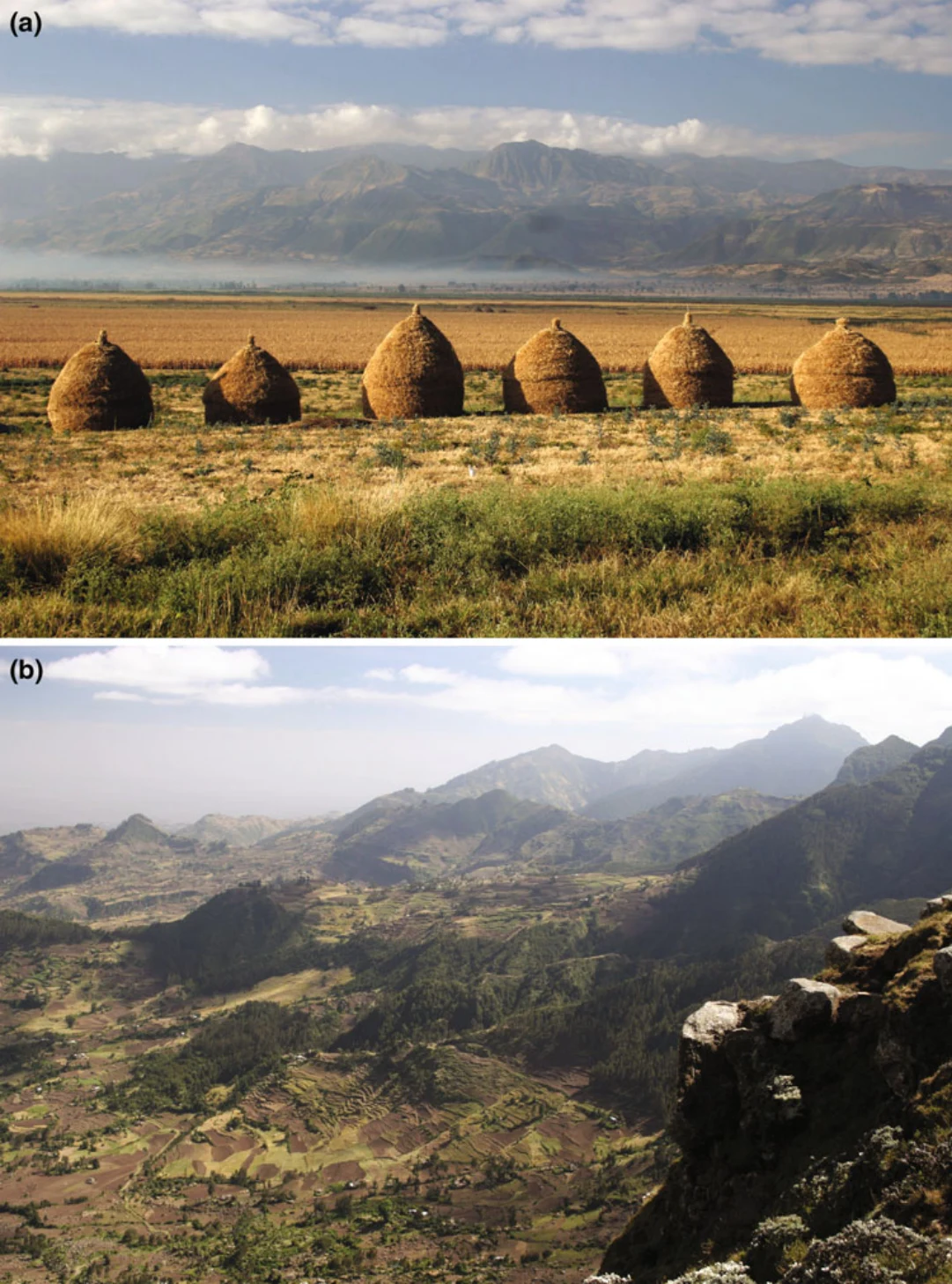 Landscapes and Landforms of Ethiopia — illustration 1, PDF page 255