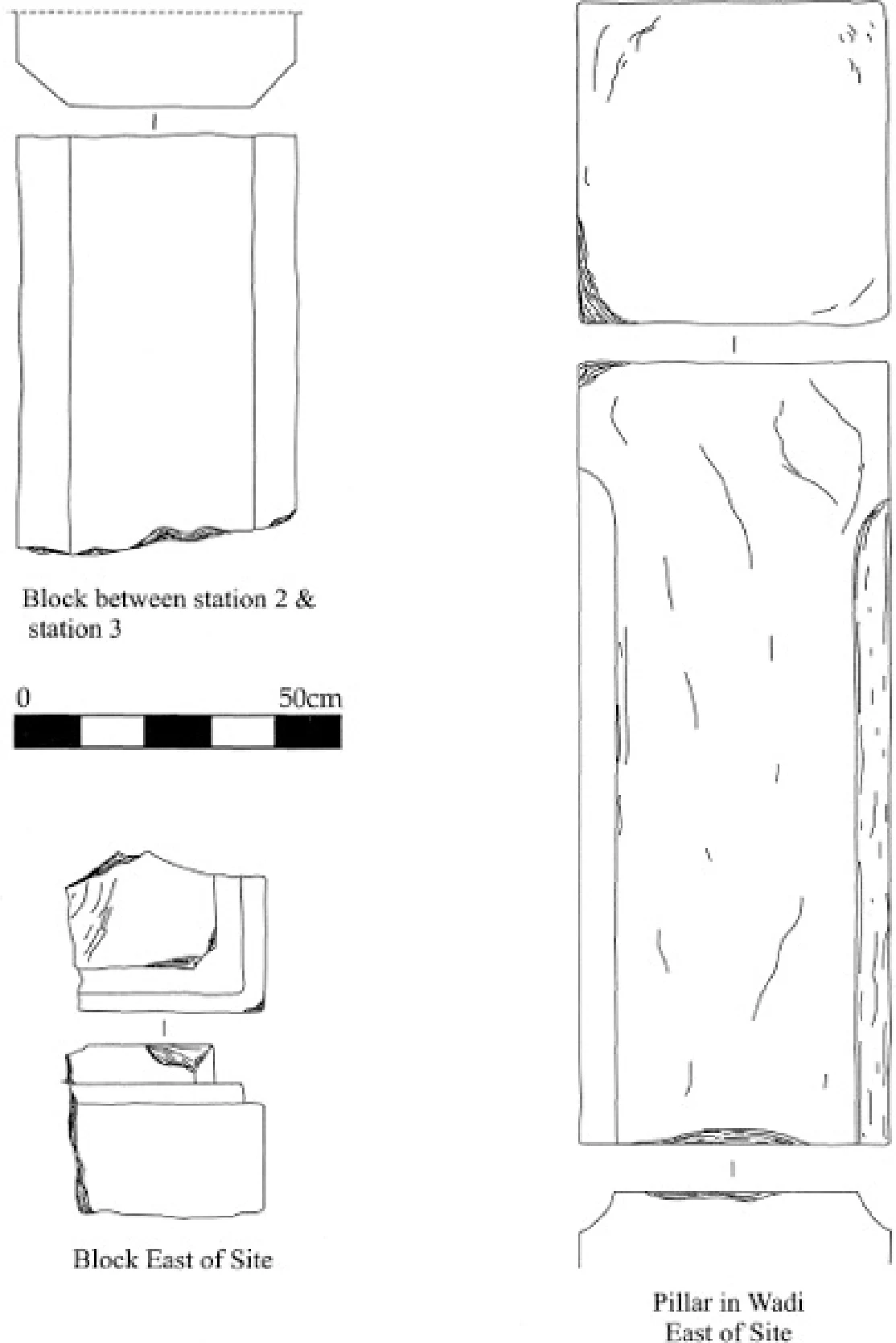 The Ancient Red Sea Port of Adulis, Eritrea: Results of the Eritro-British Expedition, 2004-5 — illustration 1, PDF page 179