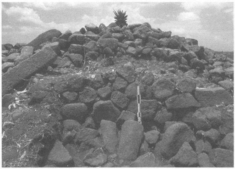 Fig. 3.3 - Tumulus 2 de Meshalä Maryam. Secteur appareillé à l'intérieur du tumulus